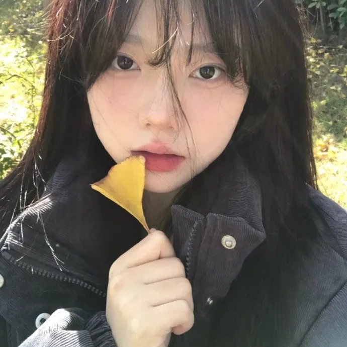 安娜的迷宫