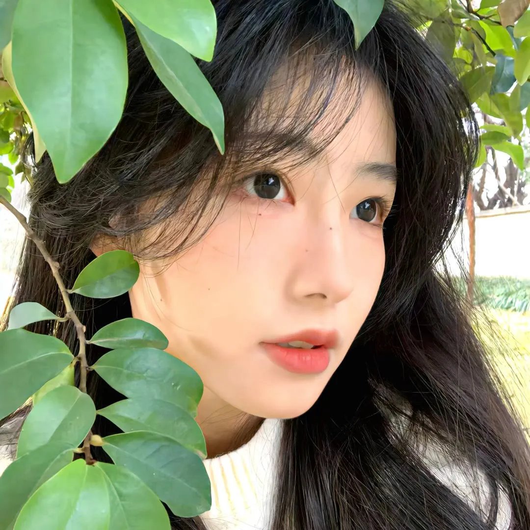 梦回玛丽莲